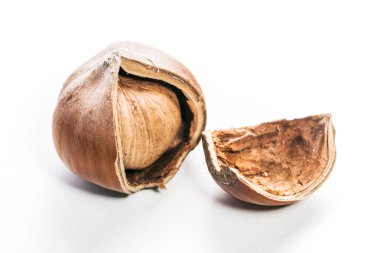 Fındıklar beyaz arka planda izole.