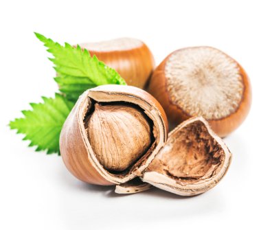 Fındıklar beyaz arka planda izole.