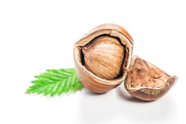 Fındıklar beyaz arka planda izole.