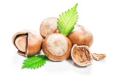 Fındıklar beyaz arka planda izole.