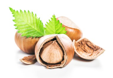 Fındıklar beyaz arka planda izole.