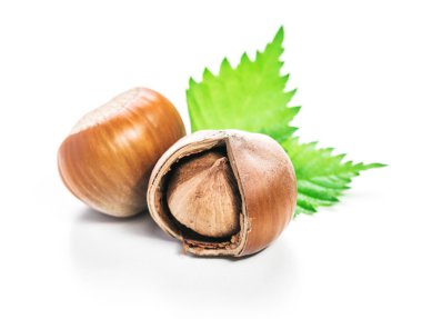 Fındıklar beyaz arka planda izole.