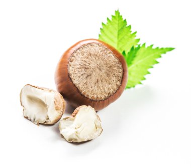 Fındıklar beyaz arka planda izole.