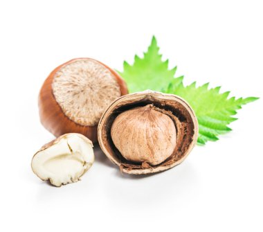 Fındıklar beyaz arka planda izole.