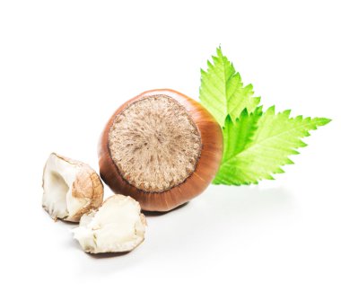 Fındıklar beyaz arka planda izole.