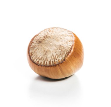 Fındıklar beyaz arka planda izole.