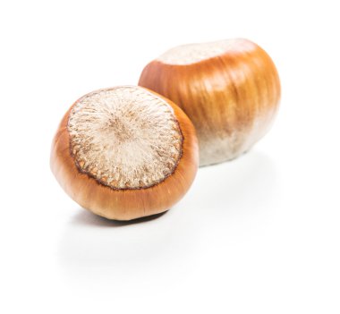 Fındıklar beyaz arka planda izole.