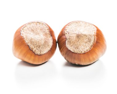 Fındıklar beyaz arka planda izole.