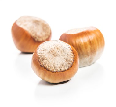 Fındıklar beyaz arka planda izole.