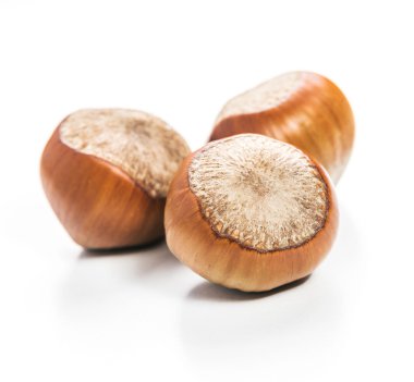 Fındıklar beyaz arka planda izole.