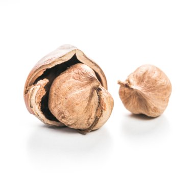 Fındıklar beyaz arka planda izole.