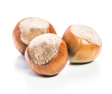 Fındıklar beyaz arka planda izole.