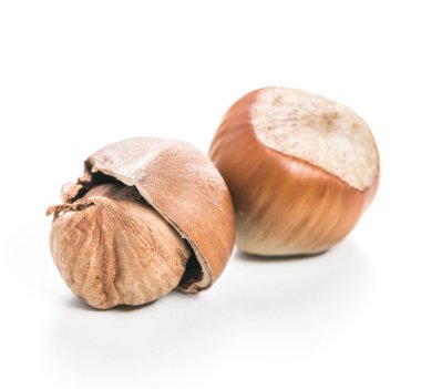 Fındıklar beyaz arka planda izole.