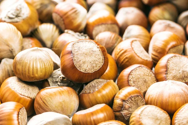 Fındıklar beyaz arka planda izole.