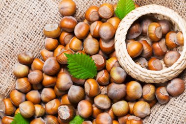 Ahşap arka planda fındıklar