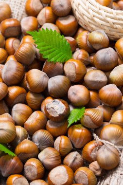 Ahşap arka planda fındıklar