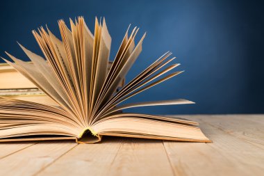 eski kitaplar Vintage