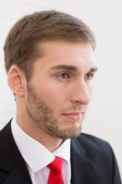 Retrato de um belo homem de negócios — Fotografia de Stock