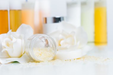 Spa kompozisyon ve tedavileri