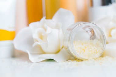 Spa kompozisyon ve tedavileri