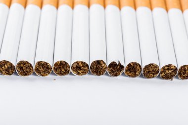 Bir yığın sigara..