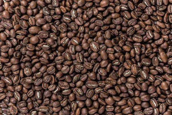 Granos de café aislados en blanco —  Fotos de Stock