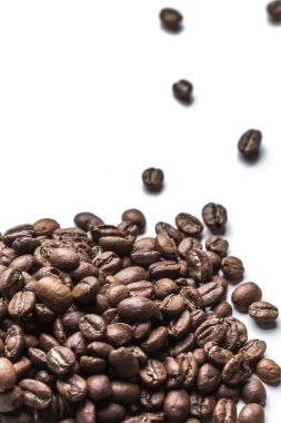 taze kahve çekirdekleri