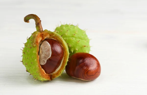 Castanha — Fotografia de Stock