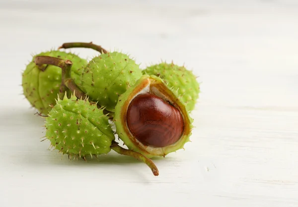 Castanha — Fotografia de Stock