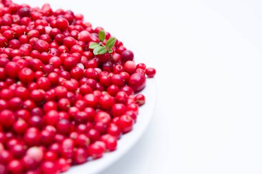 Beyaz arka planda olgun ve taze inek böğürtlenli tabağın bir parçası.