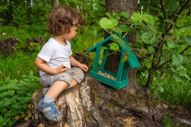Küçük çocuk ağaç kütüğünde oturuyor ve parktaki kuşlara ve hayvanlara yiyecek sağlıyor.