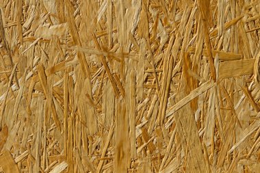 Plywood osb