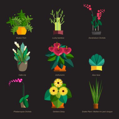 İllüstrasyon ofis bitki tencerede ve houseplants, kapalı. Dracaena, fern, bambu, spathyfyllium, orkide, Calla lily, aloe vera, gerbera, yılan bitki, antoryum. Düz bitkiler, vektör Icon set