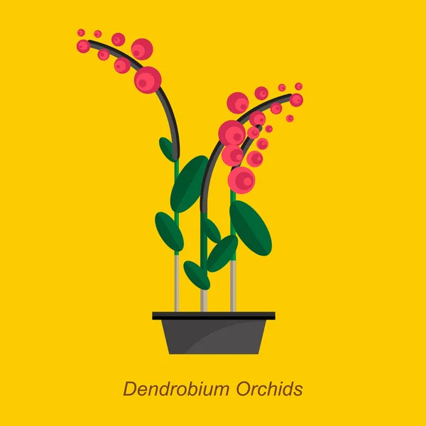 Illustration vectorielle plate d'orchidées de dendrobium de plante d'intérieur en pot — Image vectorielle