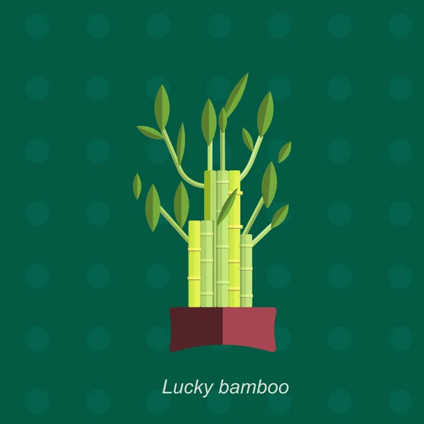 Векторна плоска ілюстрація домашньої рослини бамбук у горщику — стоковий вектор