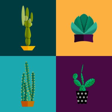 Tropik bitkiler, kaktüs vektör düz stil ayarla.
