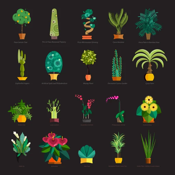 Des plantes de jardin, des fleurs en pot dans le jardin illustration vectorielle — Image vectorielle