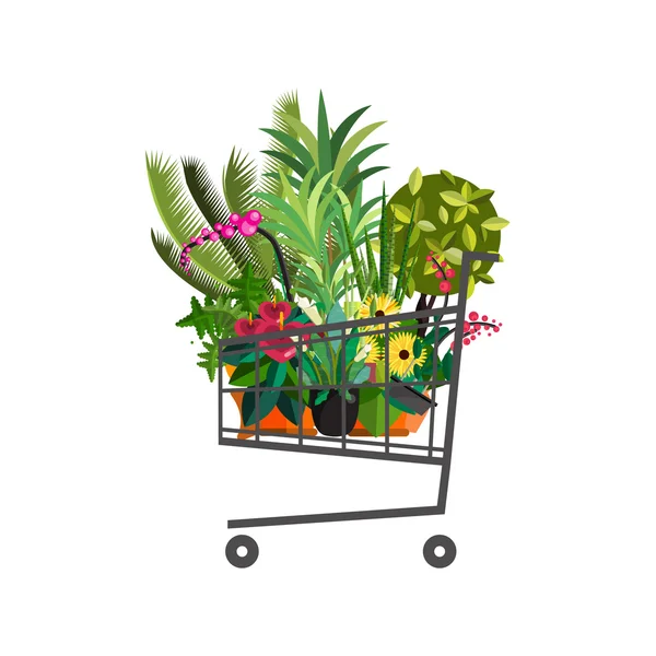 Florista shop.Shopping carrinho com plants.Flower loja design plano . —  Vetores de Stock