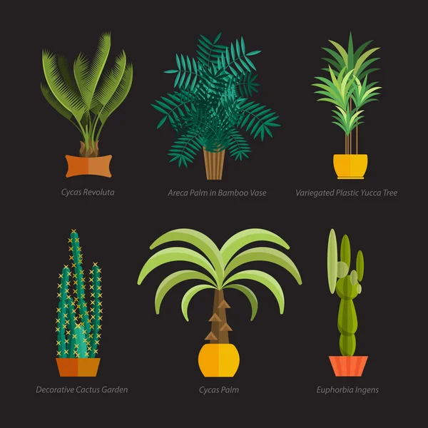 Ensemble vectoriel de plantes d'intérieur dans des pots. Illustration — Image vectorielle