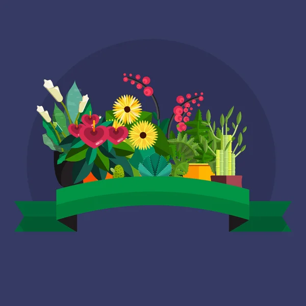 Ανθοπωλείο. Σύνθεση φυτών. Επίπεδη σχεδίαση λουλούδι κατάστημα. — Διανυσματικό Αρχείο