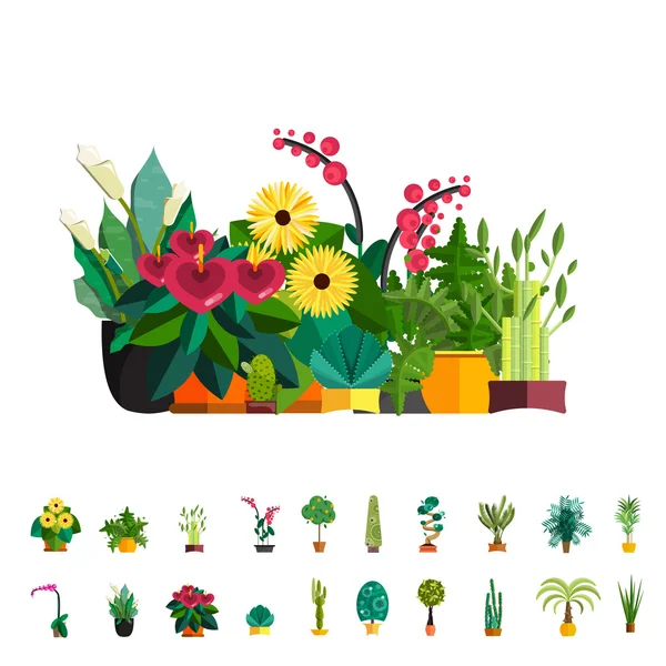 Große Zimmerpflanzen. Set von flachen Topfblumen im Inneren — Stockvektor