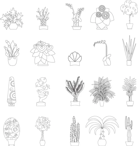 Estufa Habitação Diferentes Tipos de Plantas, vetor plana Ilustração —  Vetores de Stock