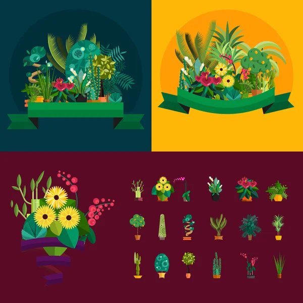 Ilustración de plantas de interior y de oficina en maceta . — Vector de stock