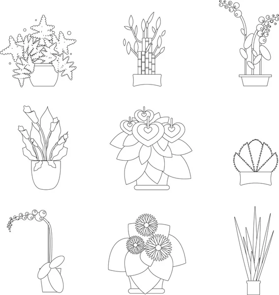 Estufa Habitação Diferentes Tipos de Plantas, vetor plana Ilustração — Vetor de Stock