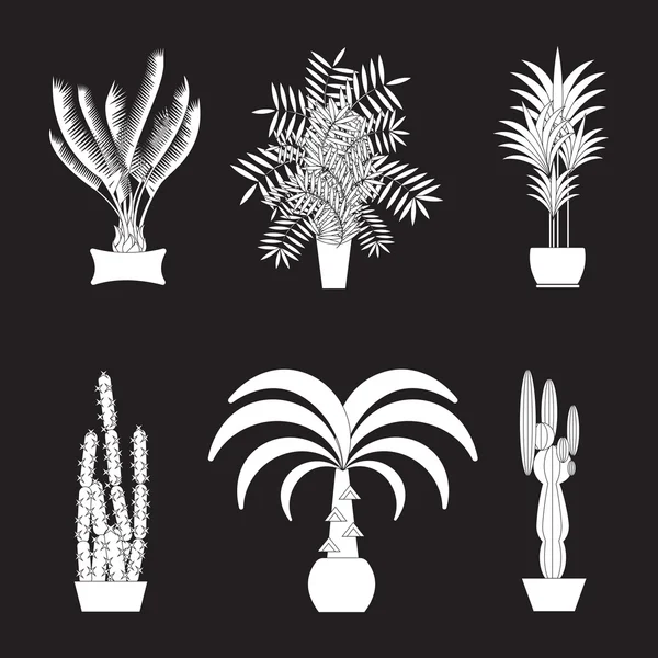 Plantas tropicais, Conjunto de plantas de sala em vasos planos — Vetor de Stock