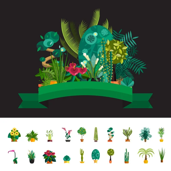 Ilustración de plantas de interior y de oficina en maceta . — Vector de stock