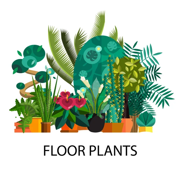 Tropical plants, Set of flat potted houseplants — Stok Vektör