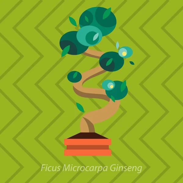 Plantas de jardín, Flores en maceta en el vector de jardín ilustración — Archivo Imágenes Vectoriales