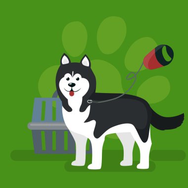 Köpek tasmaları ve yürüyüş için kurşun evcil hayvan taşınması