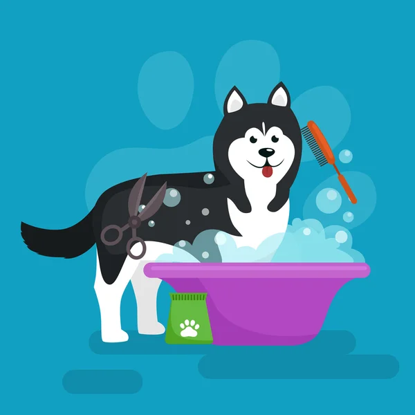 Hund hår hygien. Vektor Illustration, Pet Grooming och vård — Stock vektor